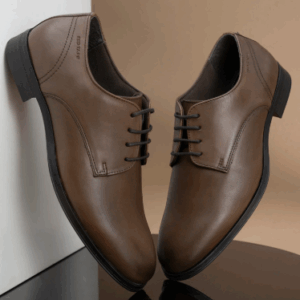 Luxury Brown Shoe for Office Wares